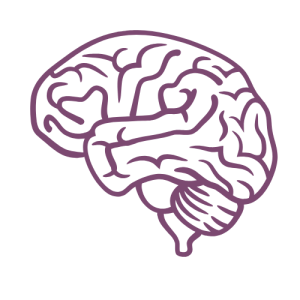 Estimulació cognitiva